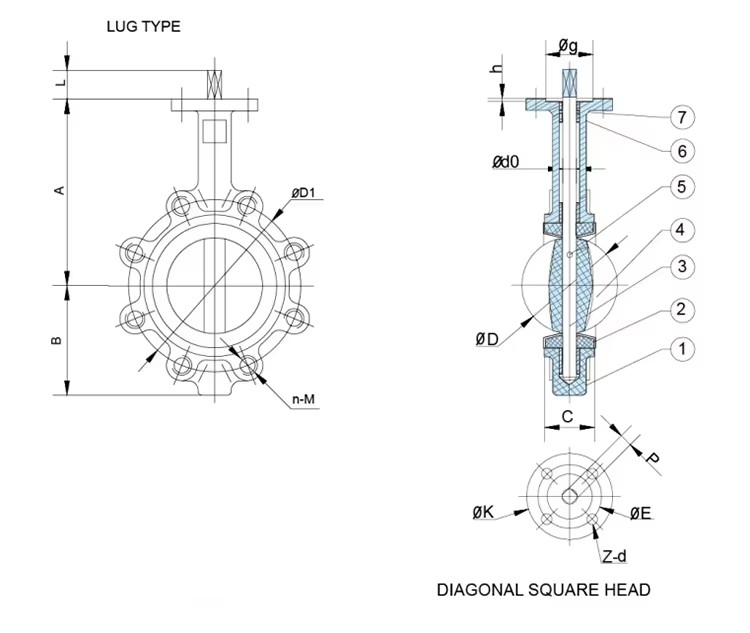 Butterfly Valve.jpg