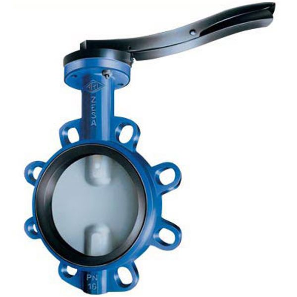 Butterfly Valve