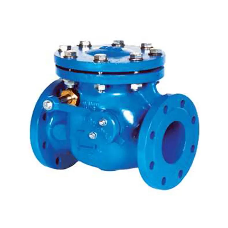 Check Valve