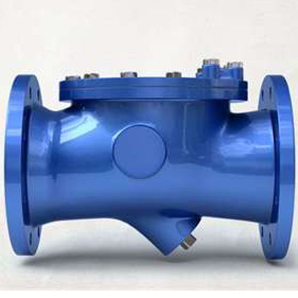 Check Valve