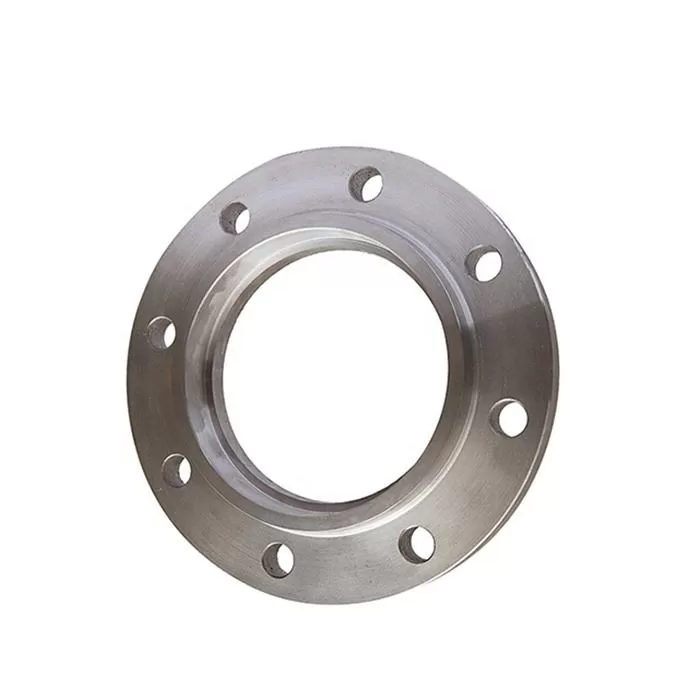 SW Pipe Flanges