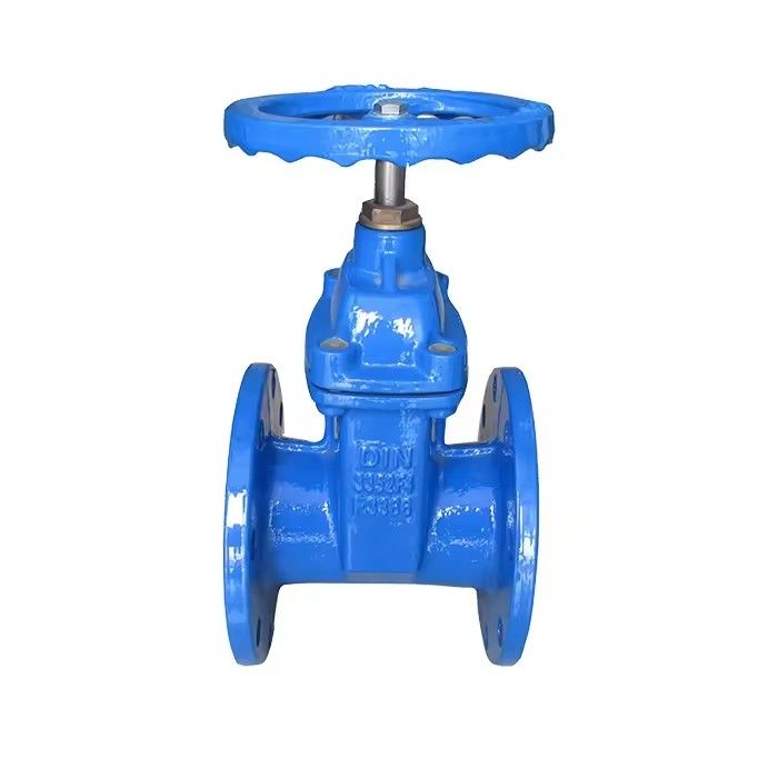 F4 Gate Valve