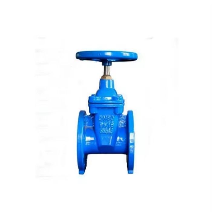 F4 Gate Valve