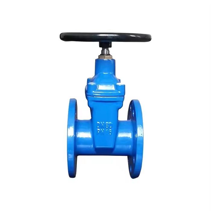 F4 Gate Valve