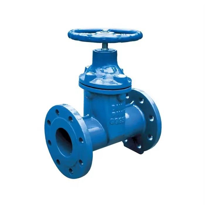 F5 Gate Valve