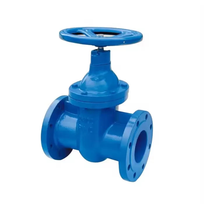 F5 Gate Valve