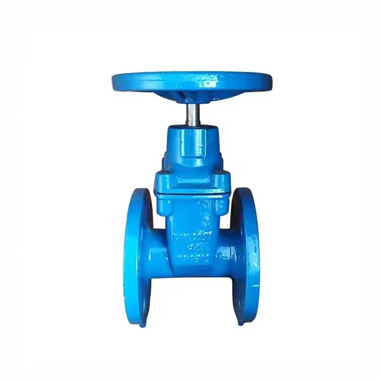 F5 Gate Valve