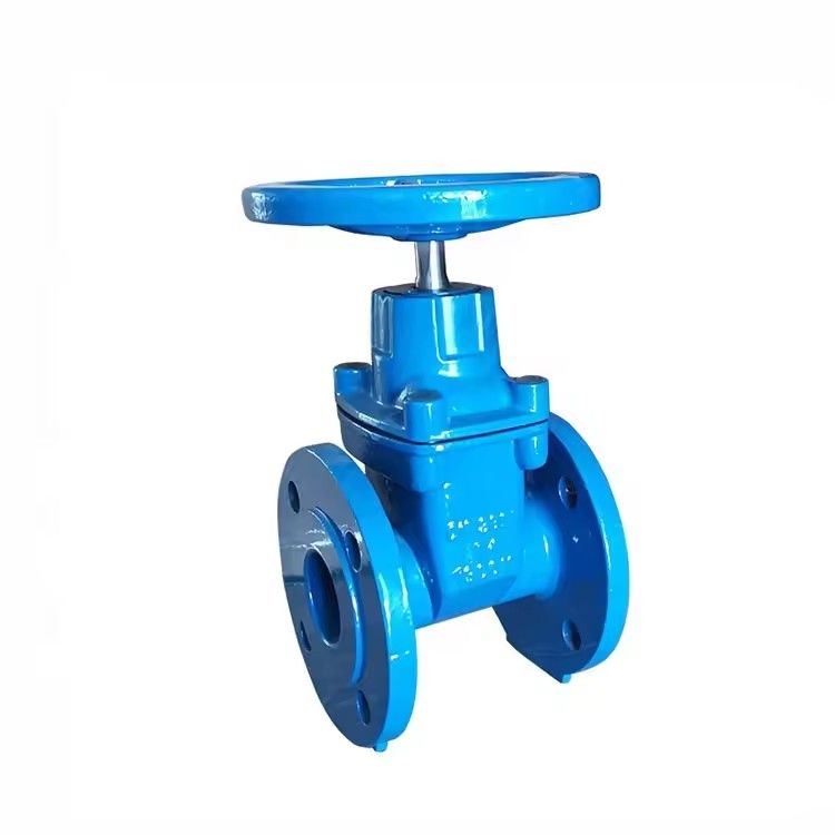 F5 Gate Valve