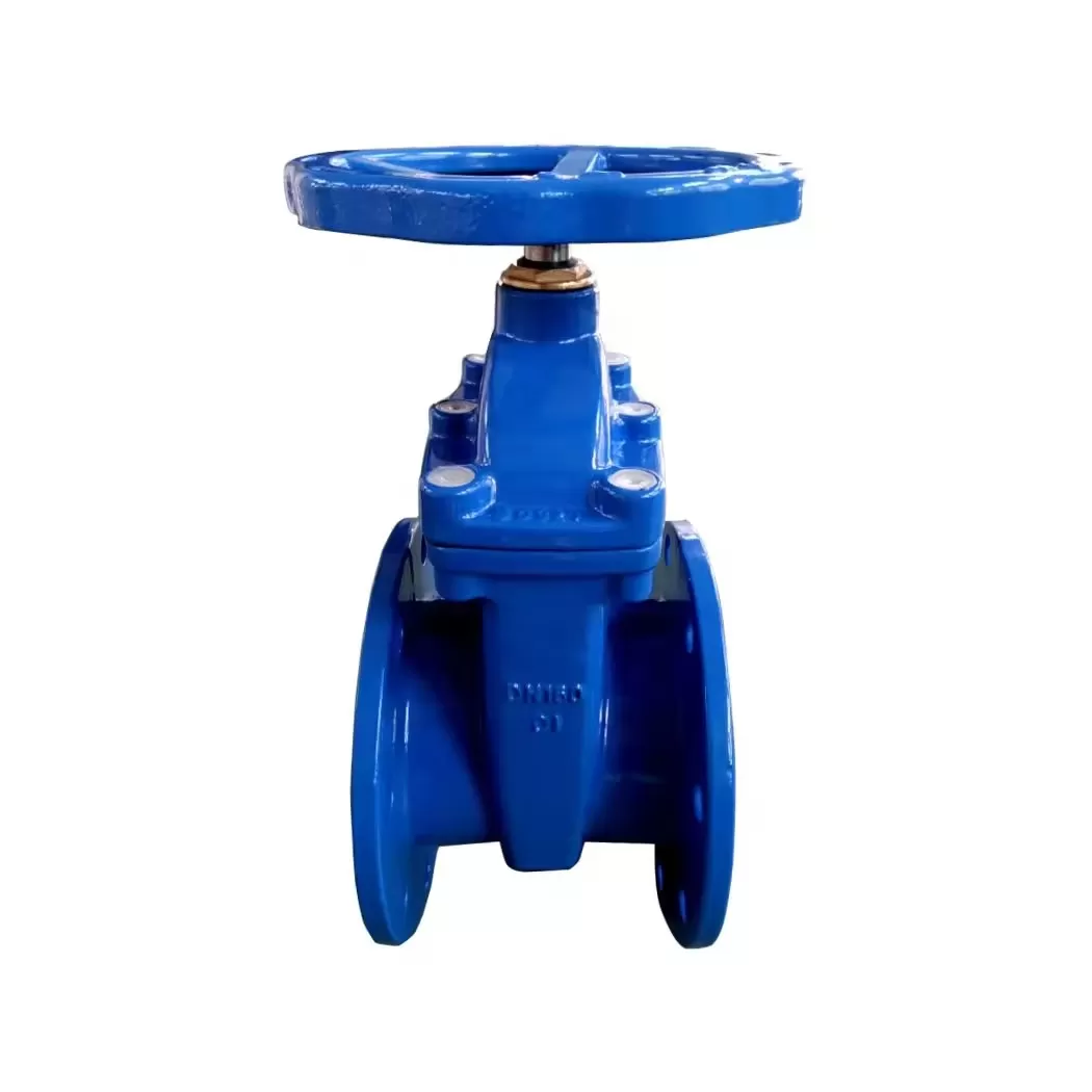 Cast Iron Gate Valve