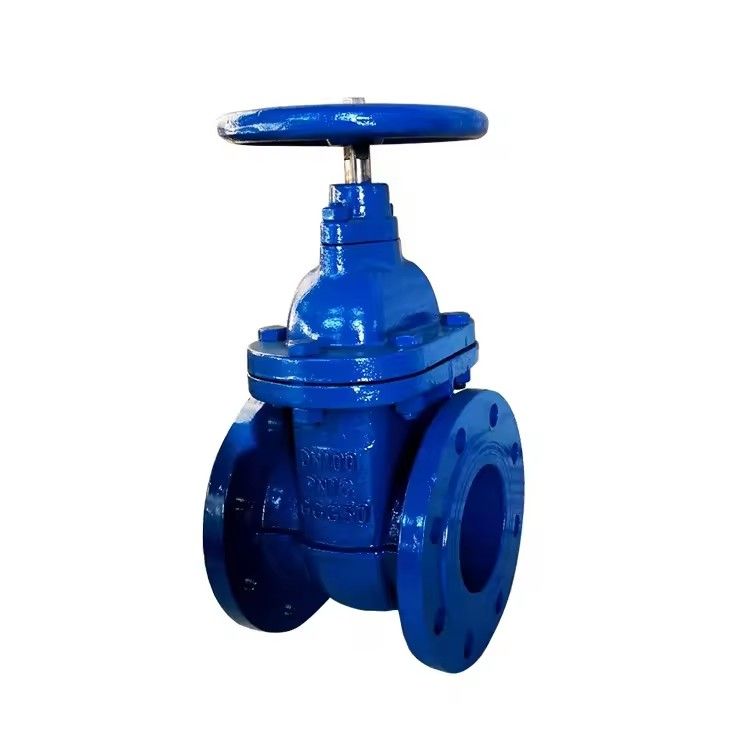 Cast Iron Gate Valve