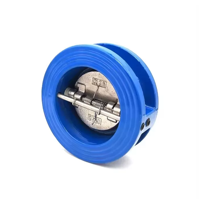 Dual Plate Check Valve