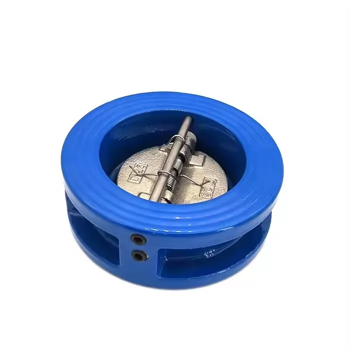 Dual Plate Check Valve