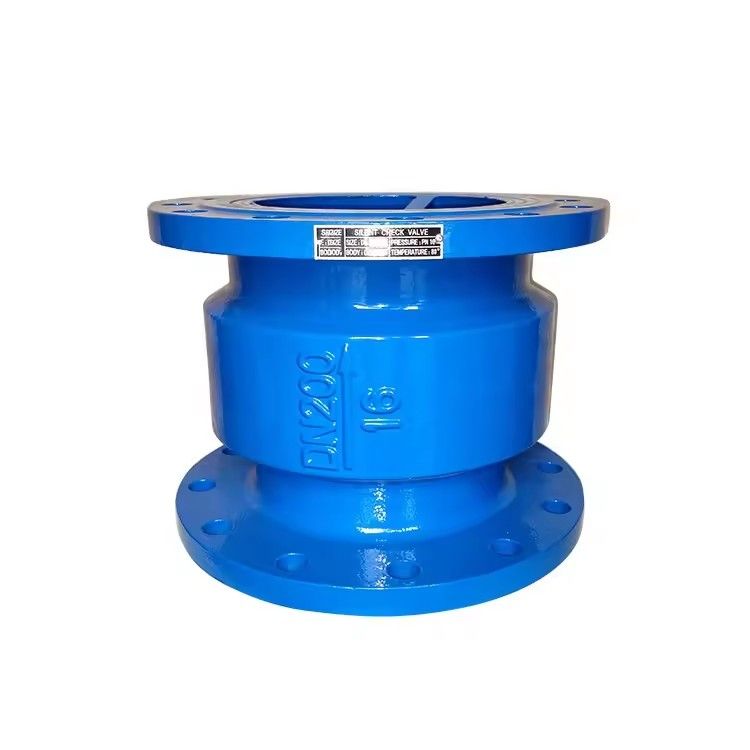 Silent Check Valve