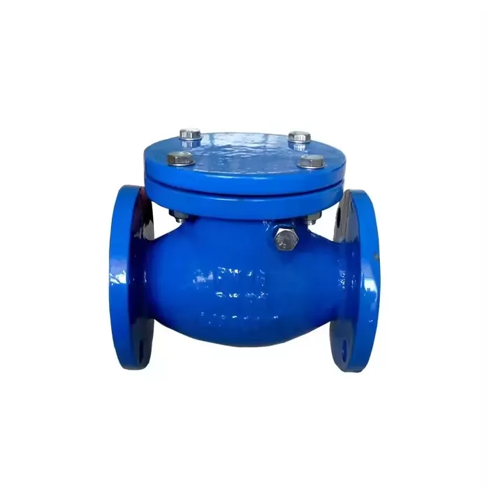 Swing Type Check Valve