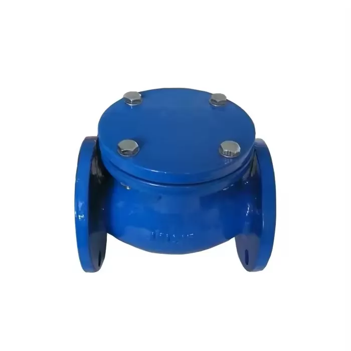 Swing Type Check Valve