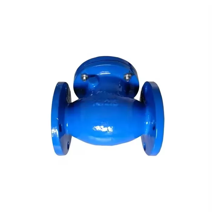 Swing Type Check Valve