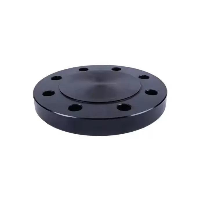 Blind Pipe Flanges